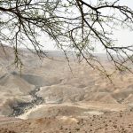 למידה אסוציאטיבית ו PBL